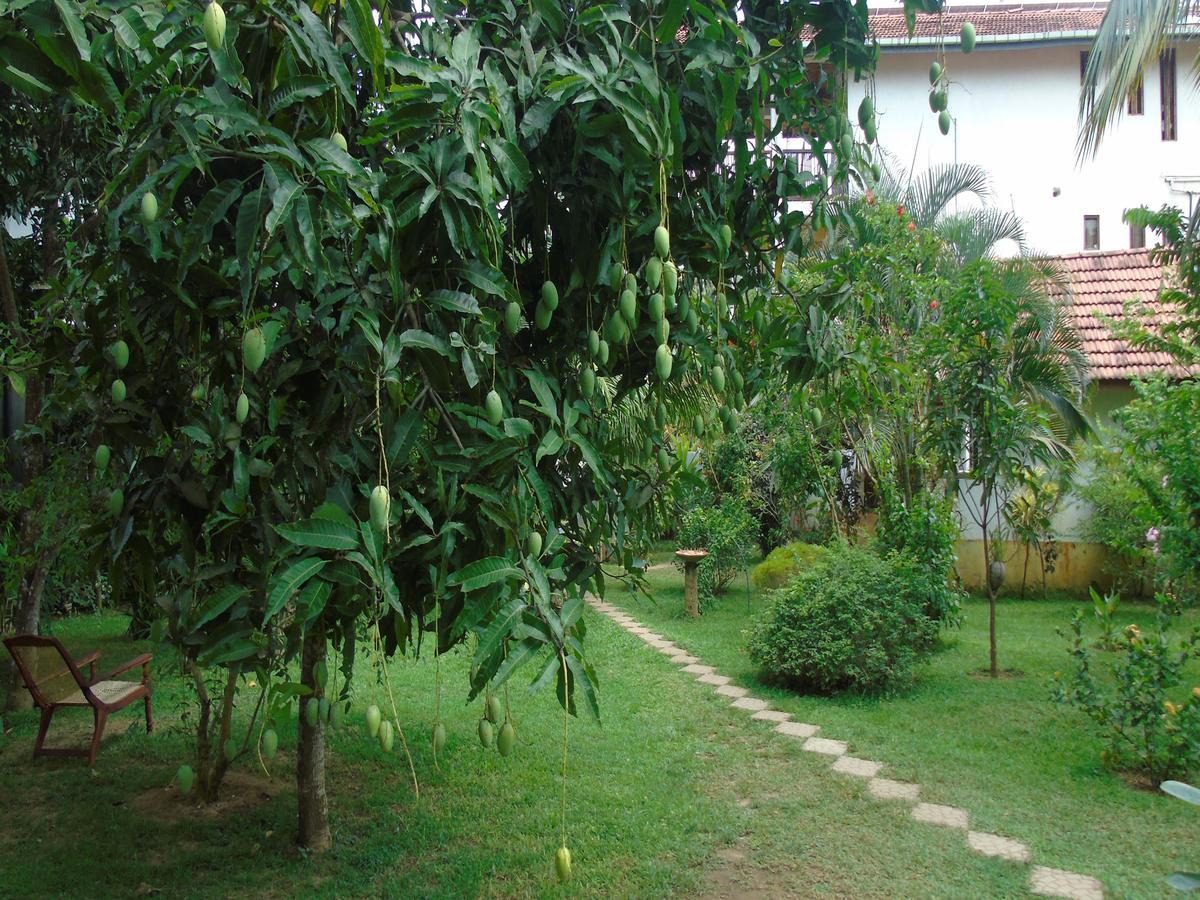 Talalla Secret Bay Hotel Matara Exterior photo