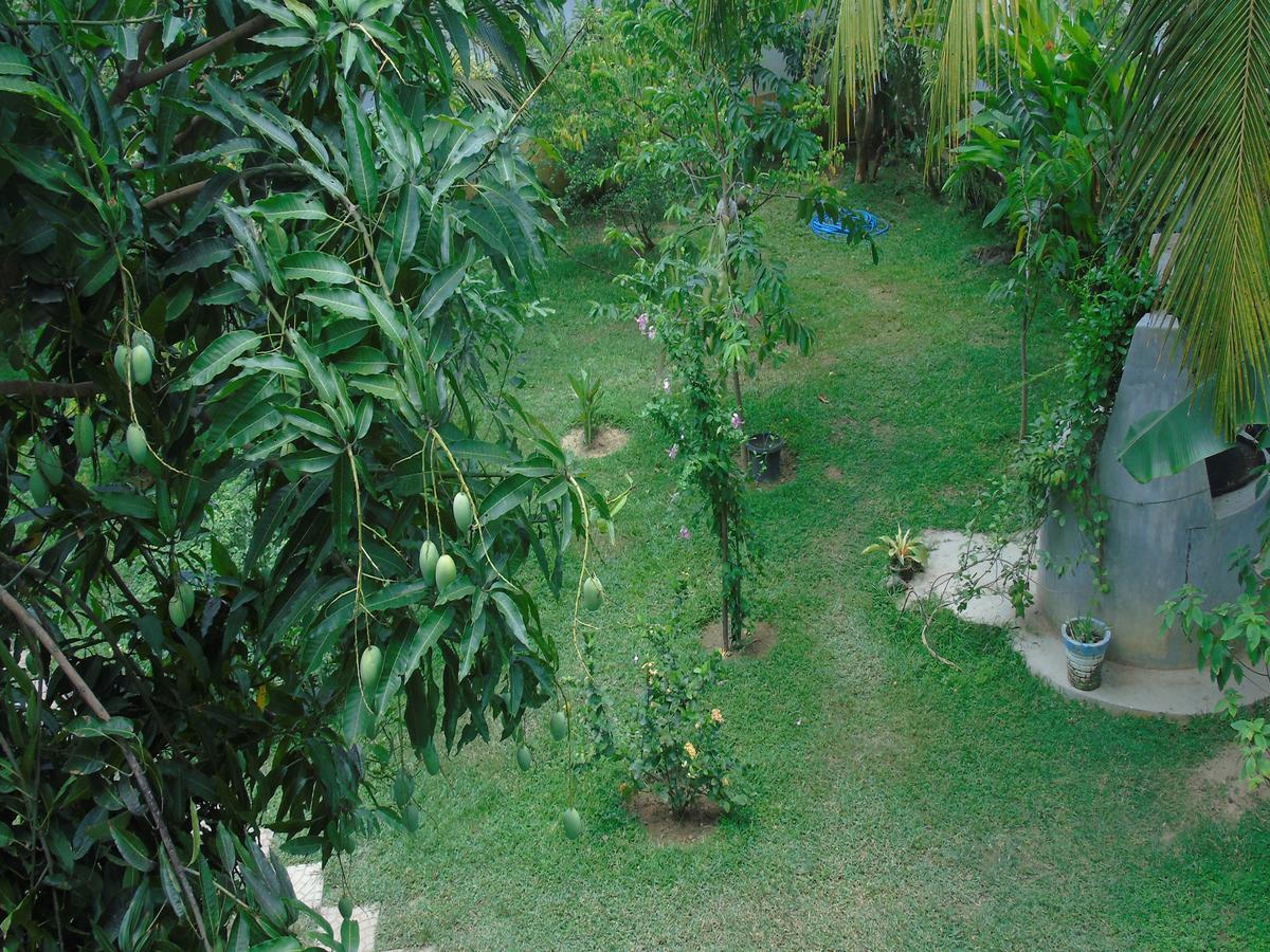 Talalla Secret Bay Hotel Matara Exterior photo