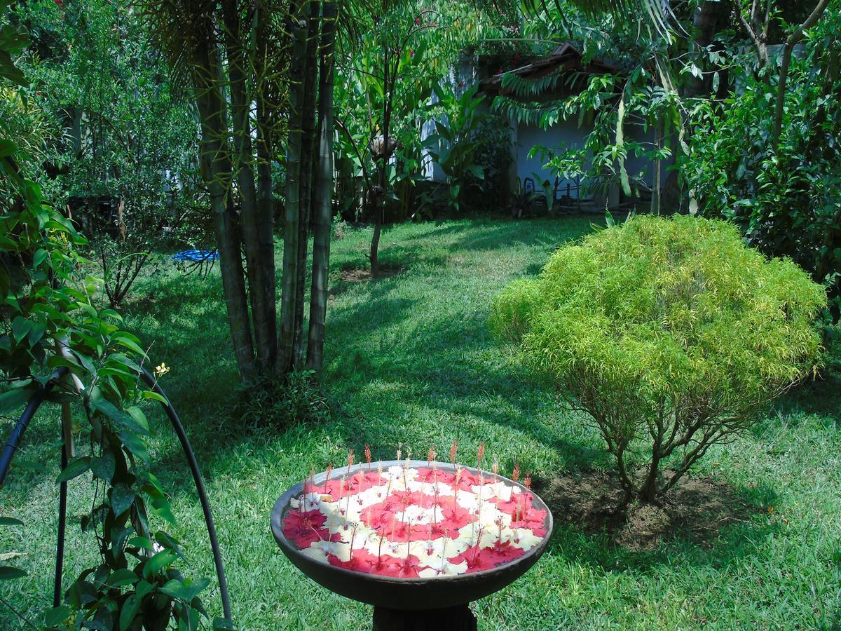 Talalla Secret Bay Hotel Matara Exterior photo